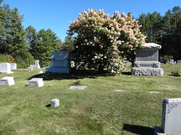 Slide 11 of cemetery gallery