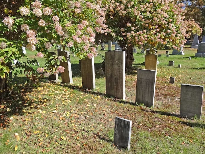Slide 4 of cemetery gallery